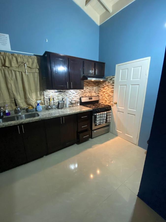 Villa Oasis Drax Hall Ocho Rios Exteriér fotografie